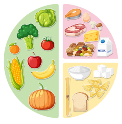 Balanced plate illustration